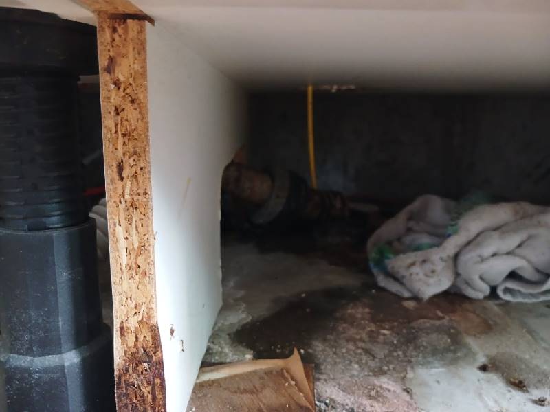 장남면 반정리 통수 테스트